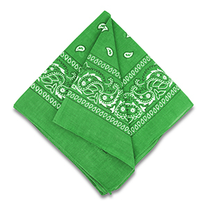 Bandana vert prairie 50x50cm