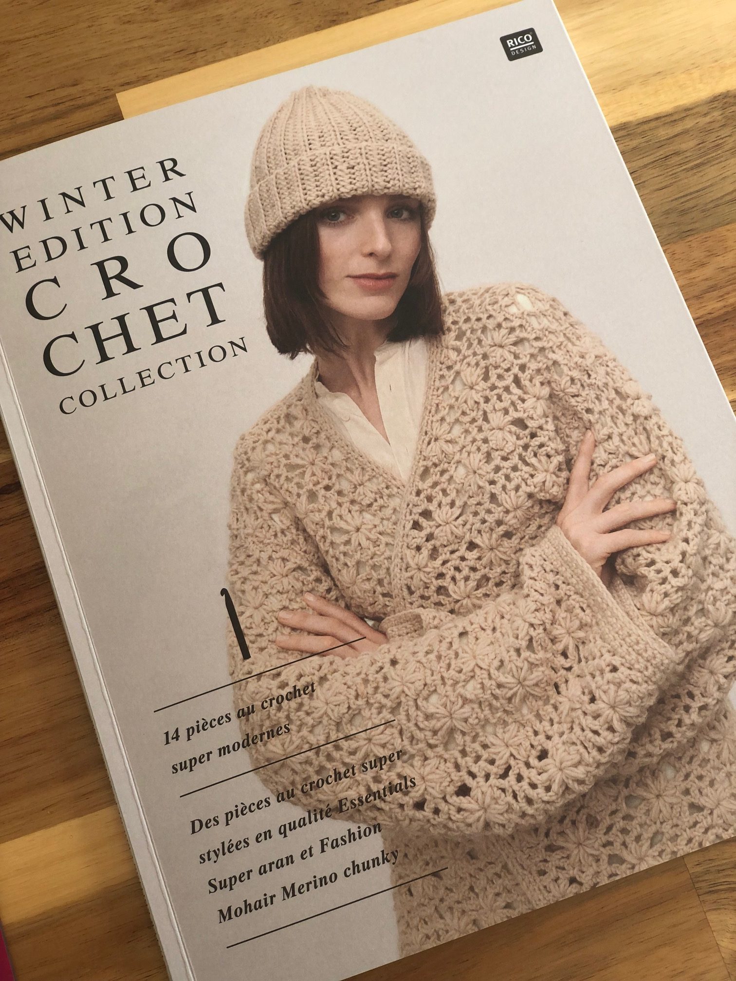 26 accessoires en laine au crochet : livre crochet pour un hiver stylé